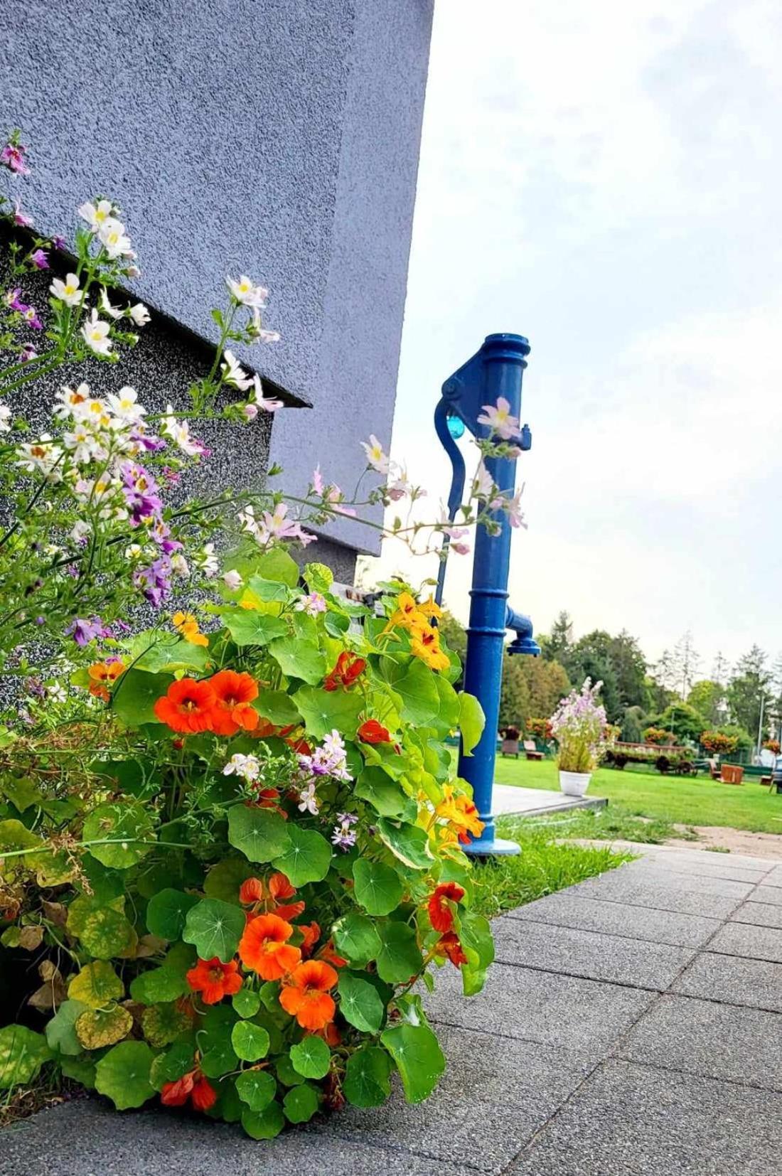 Villa Blue Mare Устроне-Морске Экстерьер фото