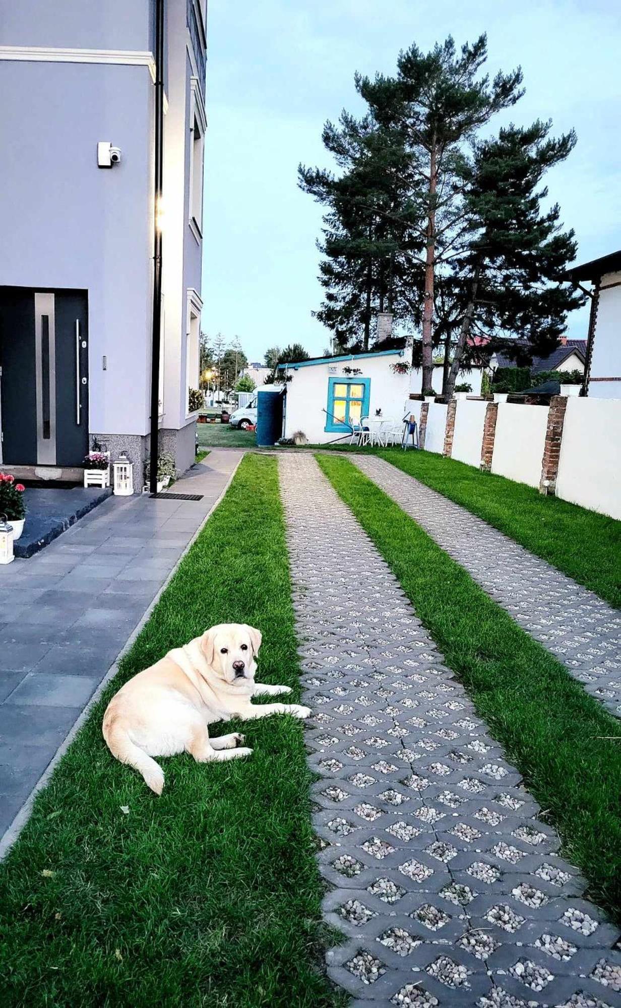 Villa Blue Mare Устроне-Морске Экстерьер фото